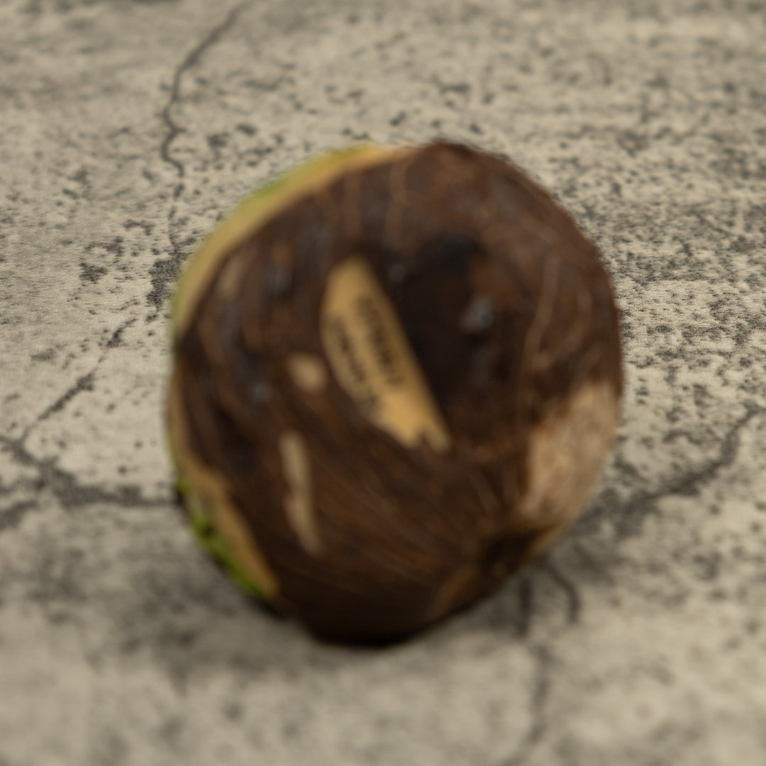 Green Poison Dart Frog Tagua Carving