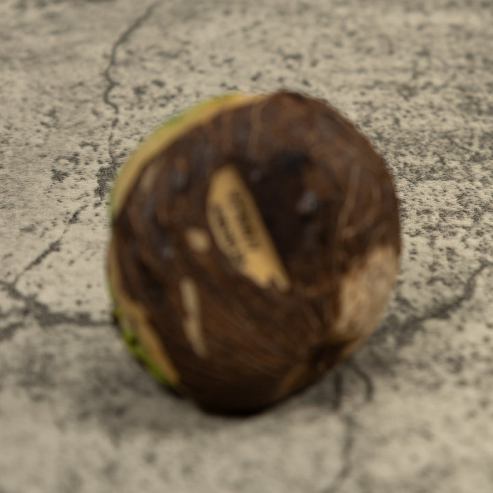 Green Poison Dart Frog Tagua Carving