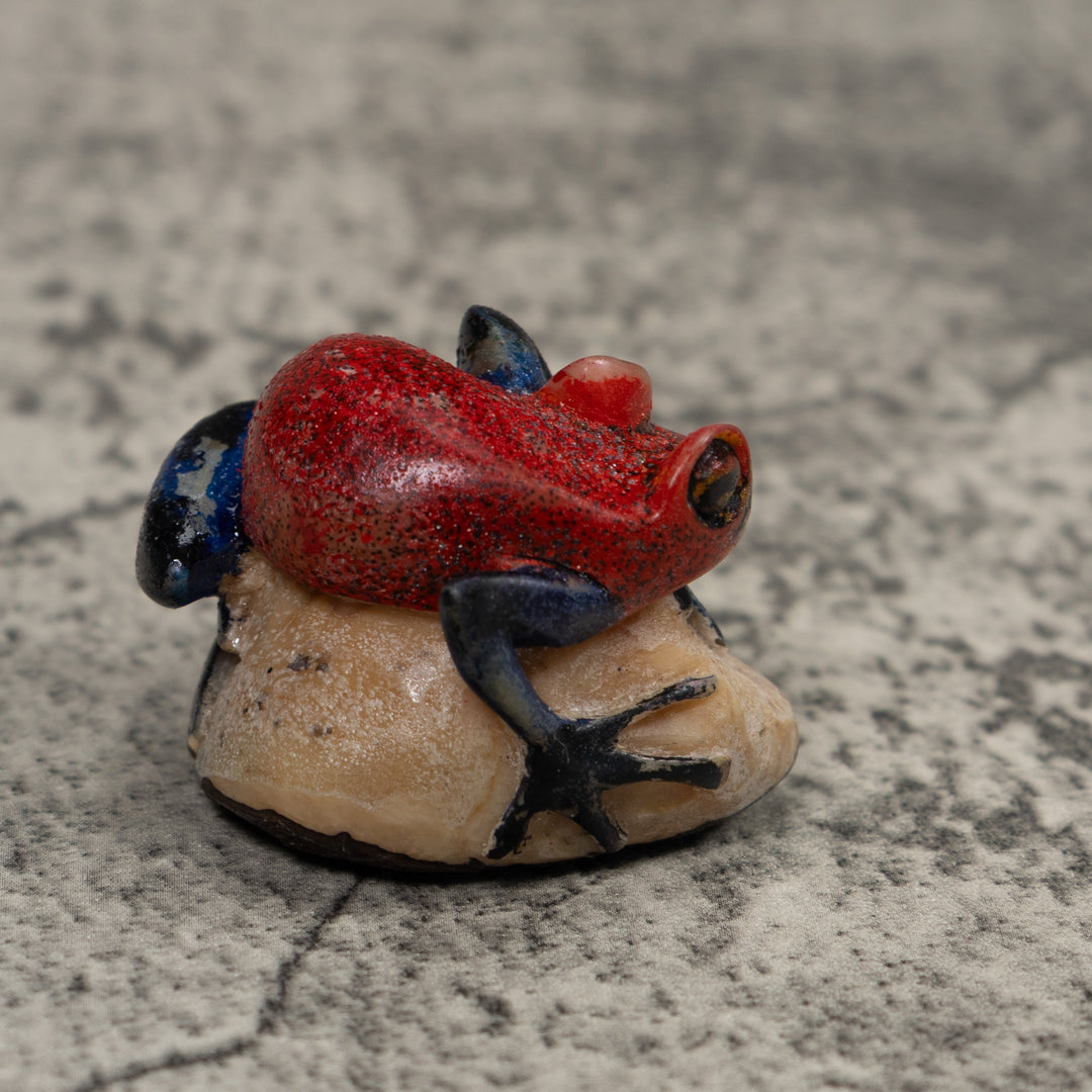 Vintage Black And Red Frog Tagua Carving