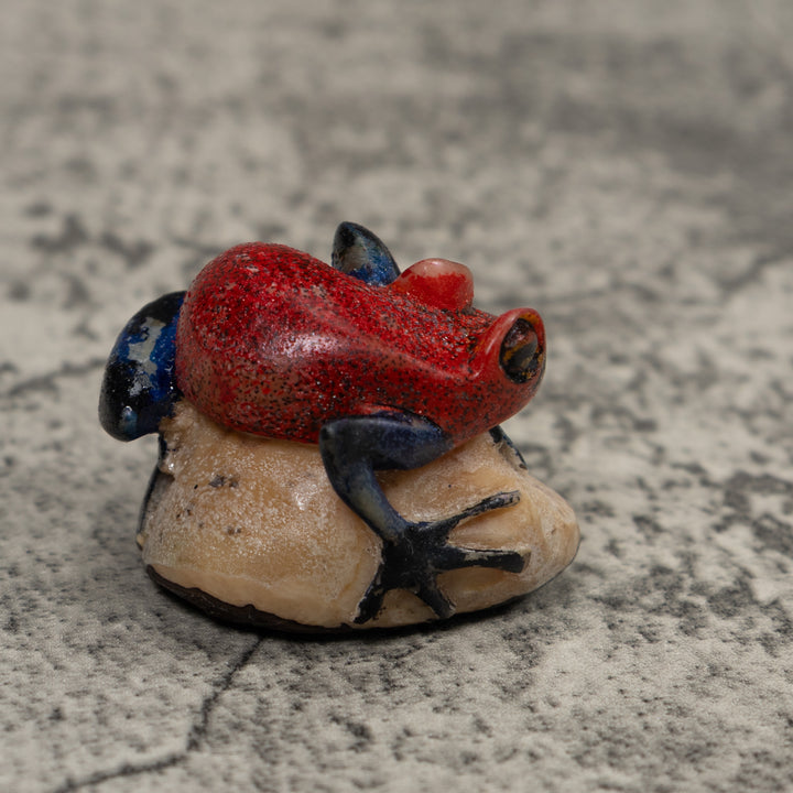 Vintage Black And Red Frog Tagua Carving
