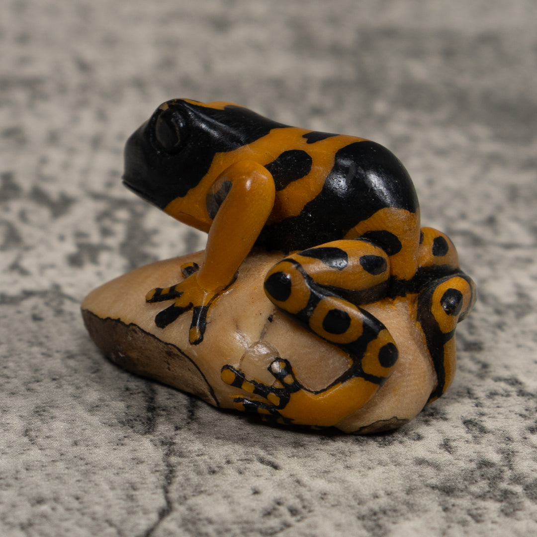 Vintage Black And Gold Frog Tagua Carving