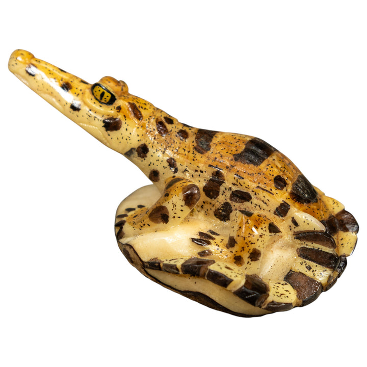 Alligator Crocodile Caiman Tagua Carving
