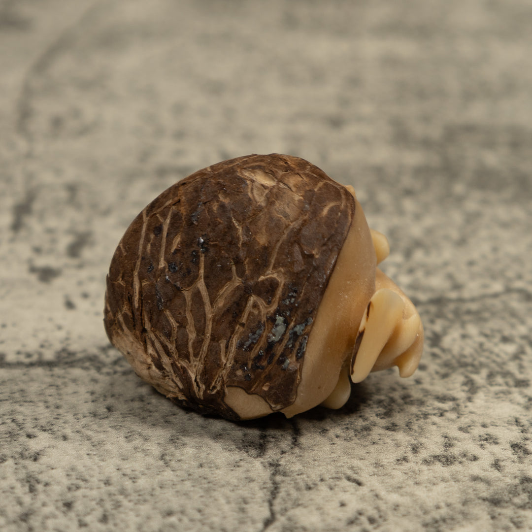 Vintage Natural White Hummingbird Tagua Carving