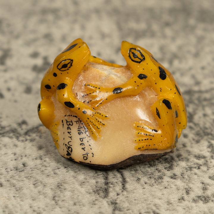 Vintage Gold And Black Double (2) Frog Tagua Carving