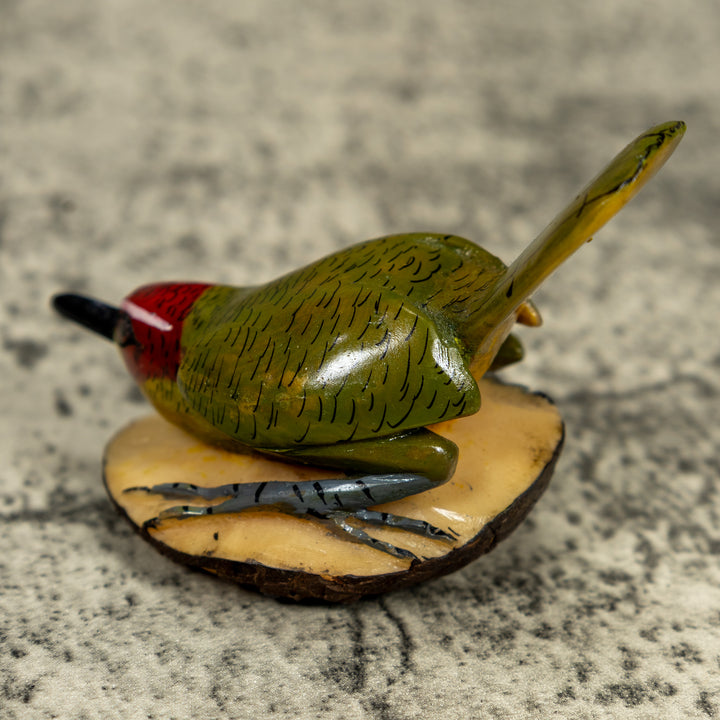Seed Eater Bird Wren Tagua Carving