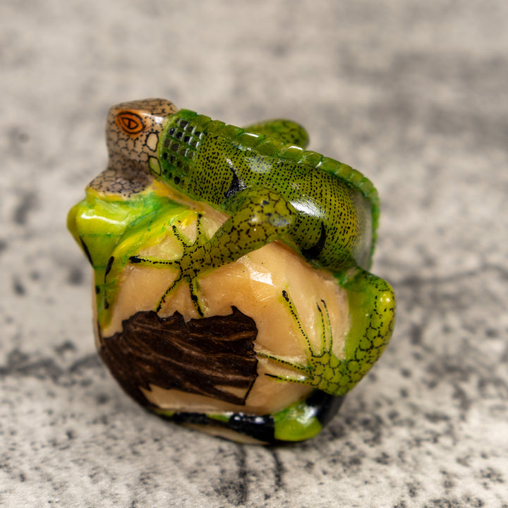 Pedestal Green Iguana Lizard Tagua Carving