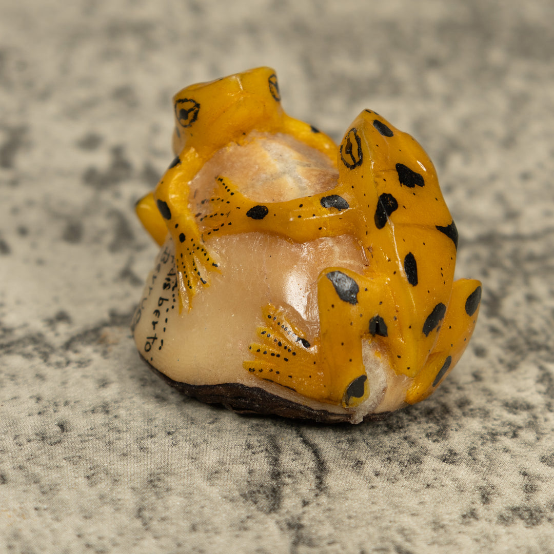 Vintage Gold And Black Double (2) Frog Tagua Carving