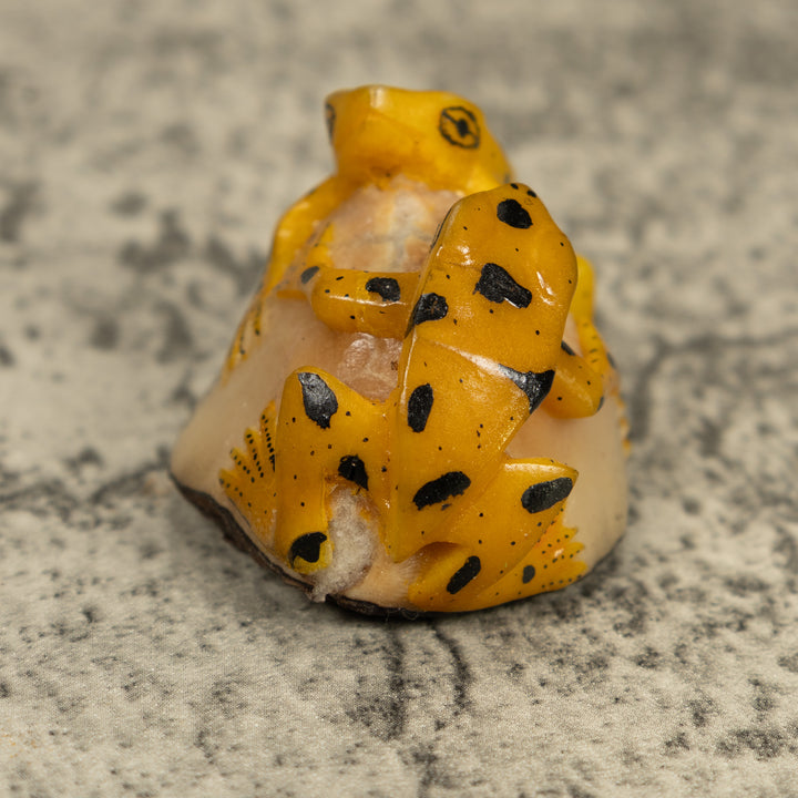 Vintage Gold And Black Double (2) Frog Tagua Carving