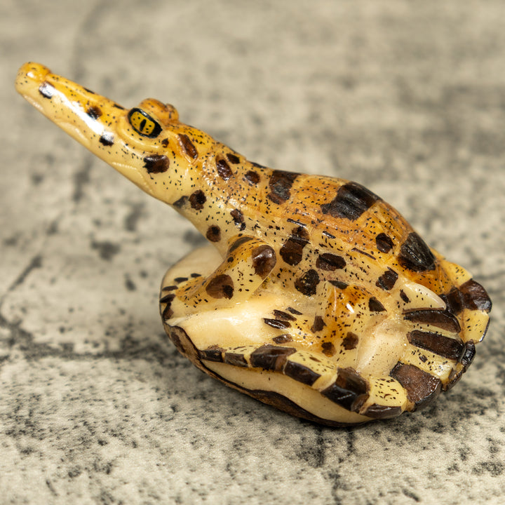 Alligator Crocodile Caiman Tagua Carving