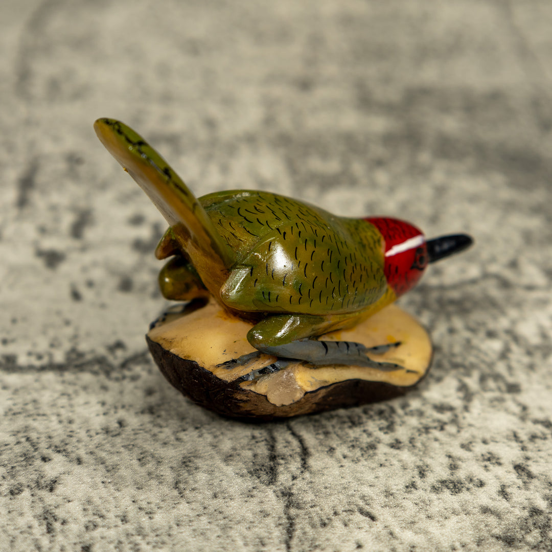 Seed Eater Bird Wren Tagua Carving