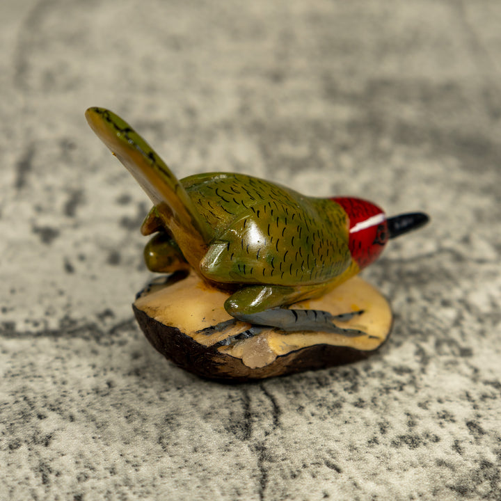 Seed Eater Bird Wren Tagua Carving