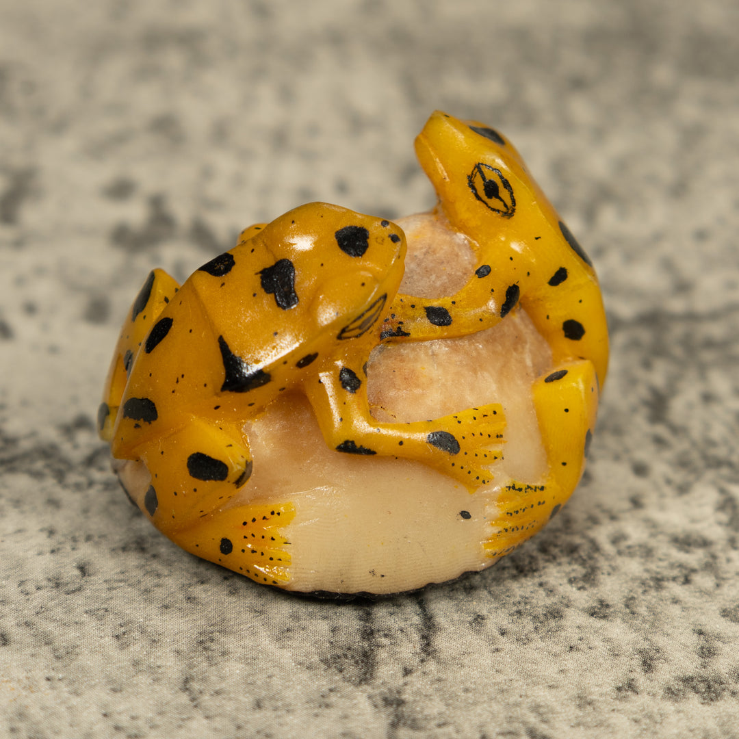 Vintage Gold And Black Double (2) Frog Tagua Carving