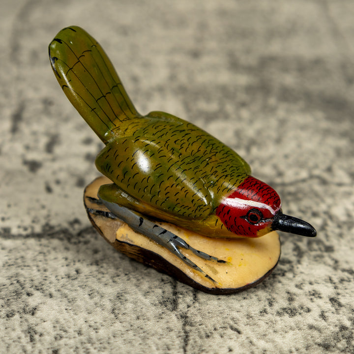 Seed Eater Bird Wren Tagua Carving