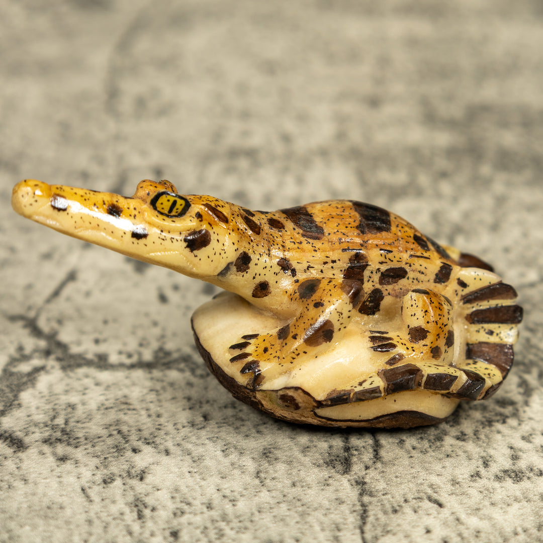 Alligator Crocodile Caiman Tagua Carving