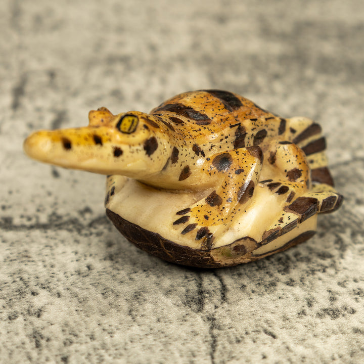 Alligator Crocodile Caiman Tagua Carving