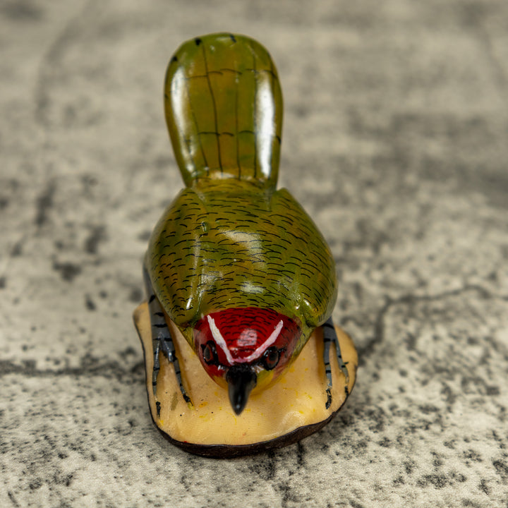 Seed Eater Bird Wren Tagua Carving