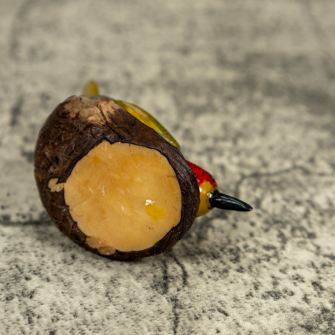 Seed Eater Bird Wren Tagua Carving