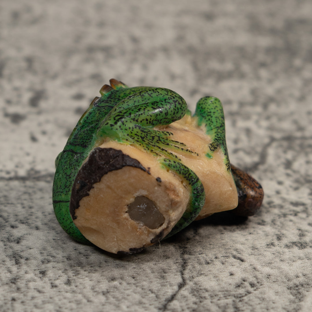 Vintage Green And Black Iguana Lizard Tagua Carving
