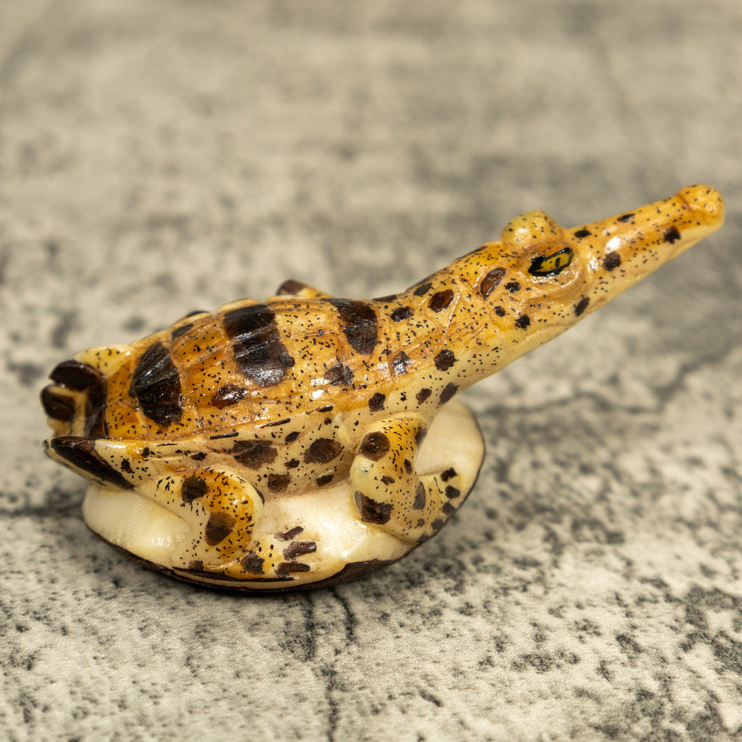Alligator Crocodile Caiman Tagua Carving