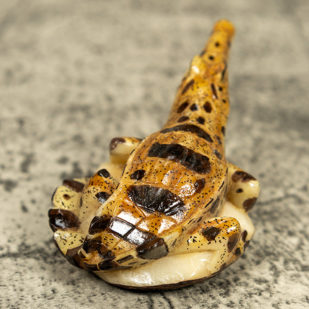 Alligator Crocodile Caiman Tagua Carving