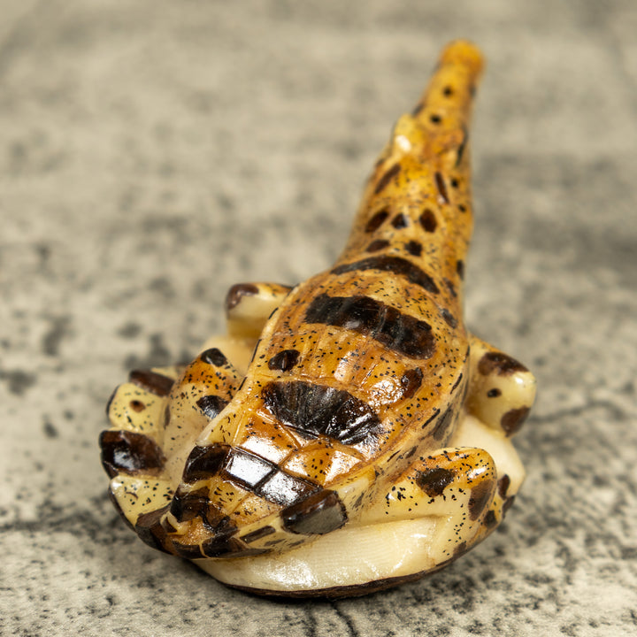 Alligator Crocodile Caiman Tagua Carving