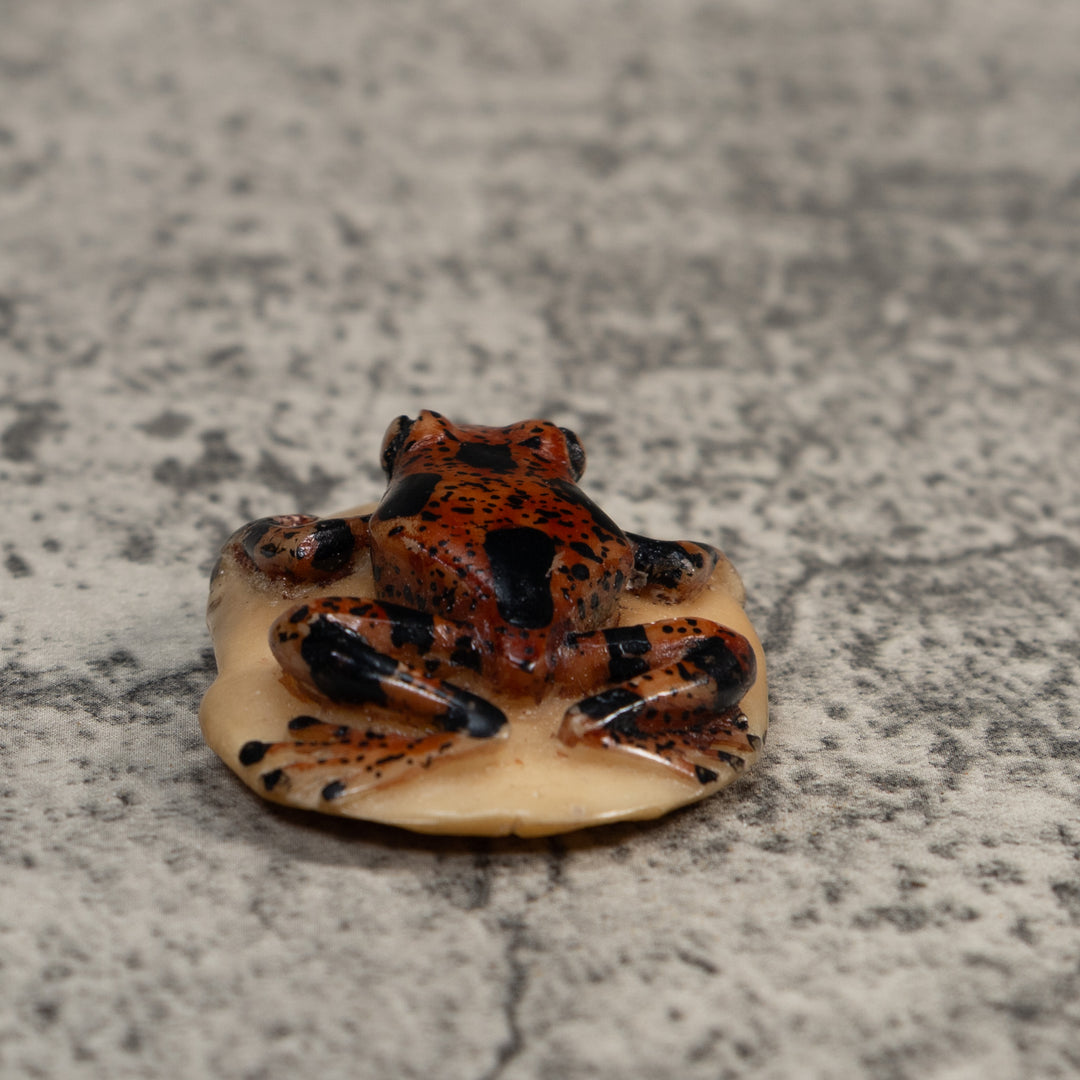 Vintage Brown And Black Poison Dart Frog Tagua Carving