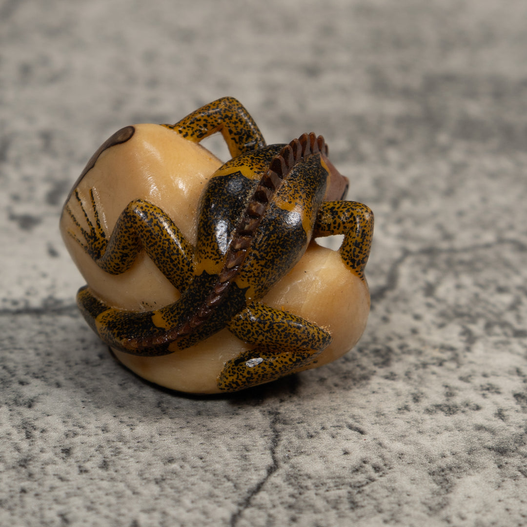 Brown And Black Iguana Lizard Tagua Carving