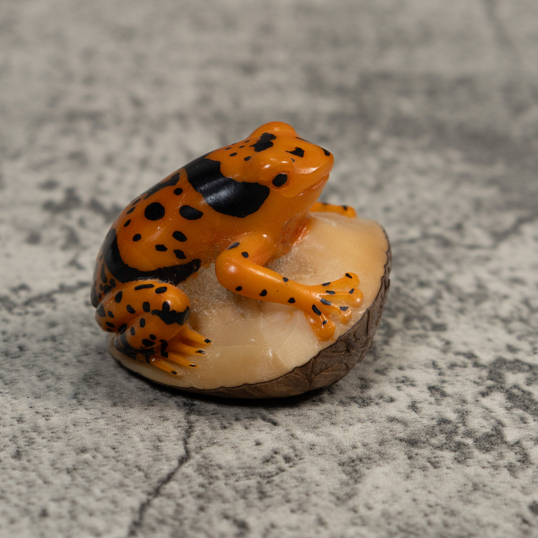Black And Gold Poison Dart Frog Tagua Carving