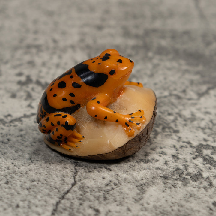 Black And Gold Poison Dart Frog Tagua Carving