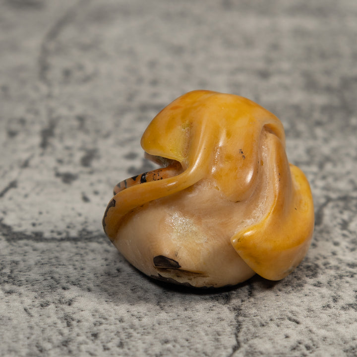 Gold And Black Poison Dart Frog Under Leaf Tagua Carving