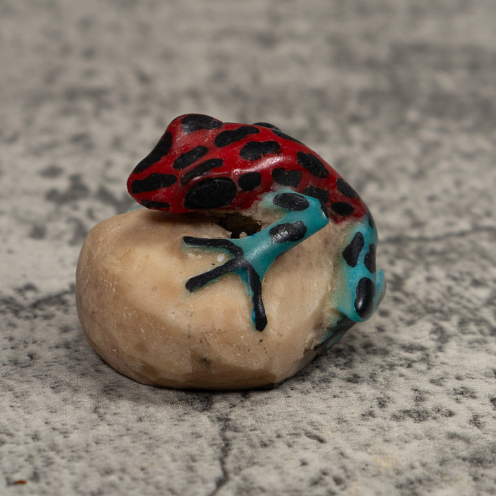 Vintage Blue Red And Black Frog Tagua Carving