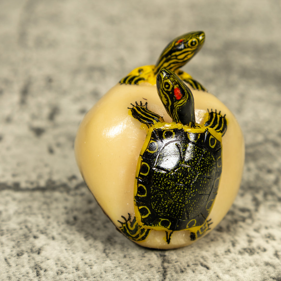 Double (2) Tortoise Turtle Tagua Carving