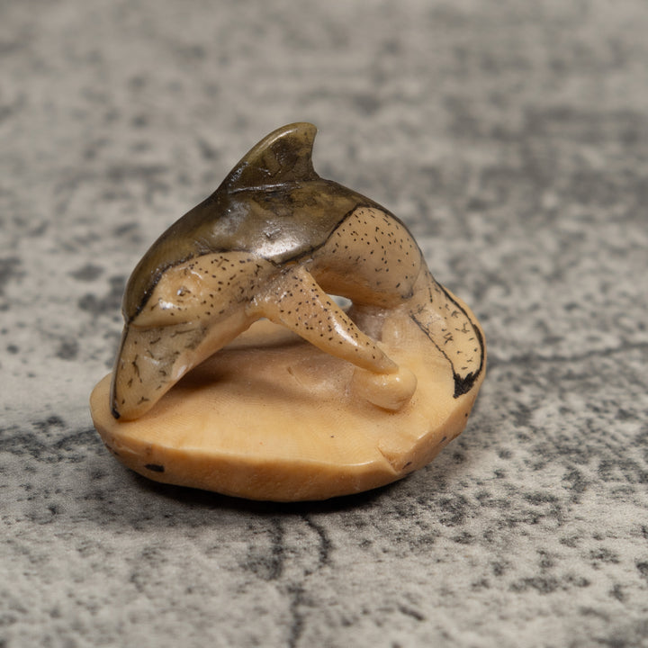 Vintage Black And White Dolphin Tagua Carving