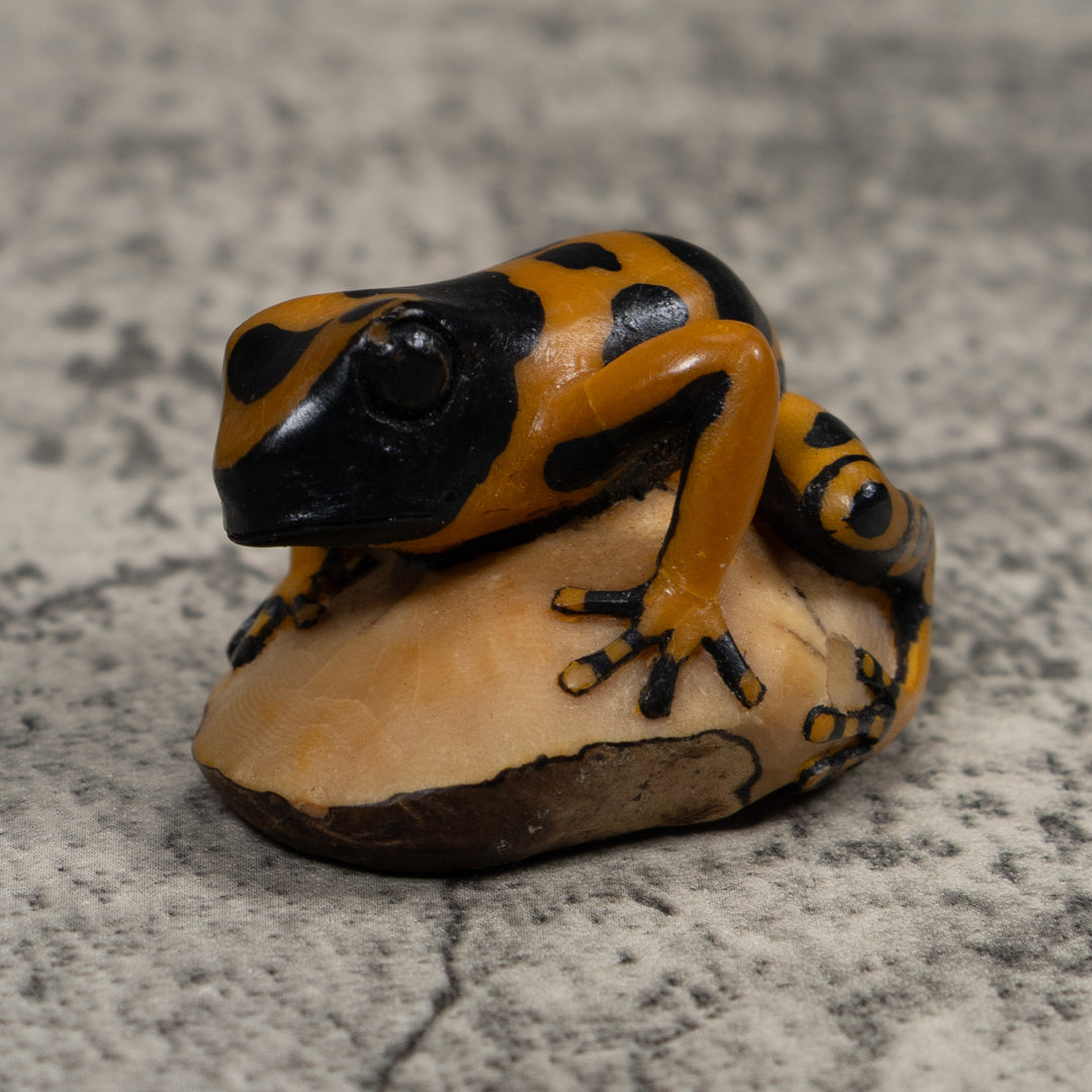 Vintage Black And Gold Frog Tagua Carving
