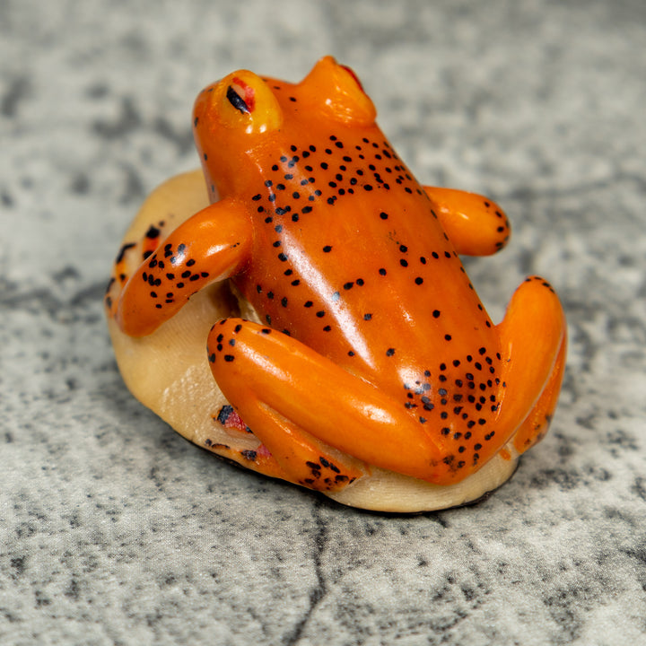 Orange And Black Frog Tagua Carving