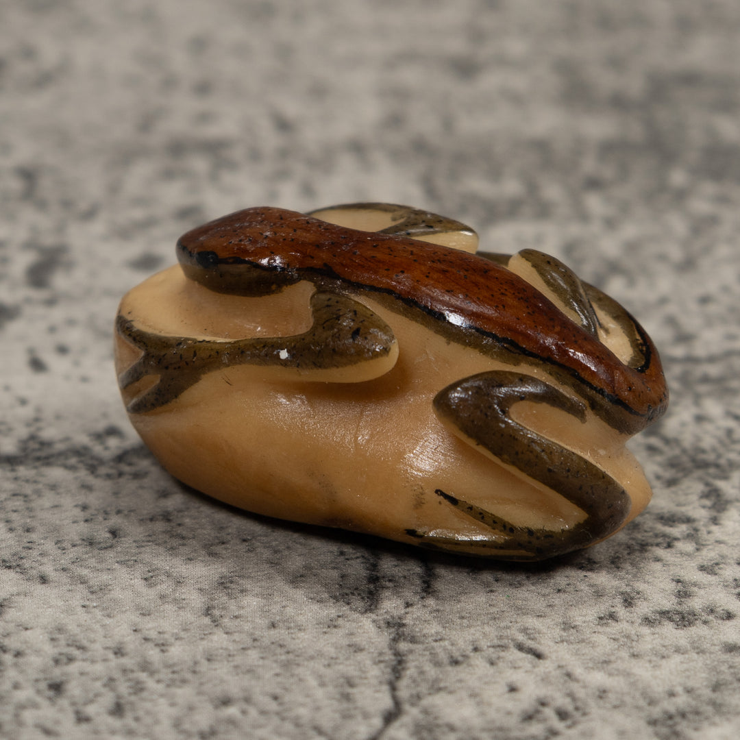 Vintage Brown And Black Frog Tagua Carving