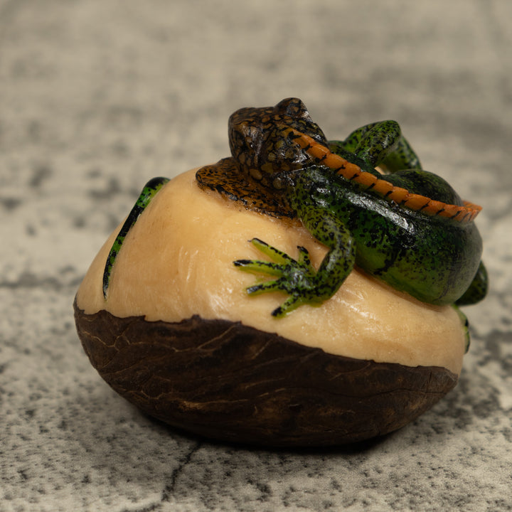 Iguana Lizard Reptile Tagua Carving