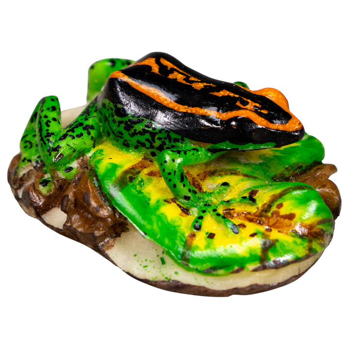 Black Orange And Green Poison Dart Frog Tagua Carving