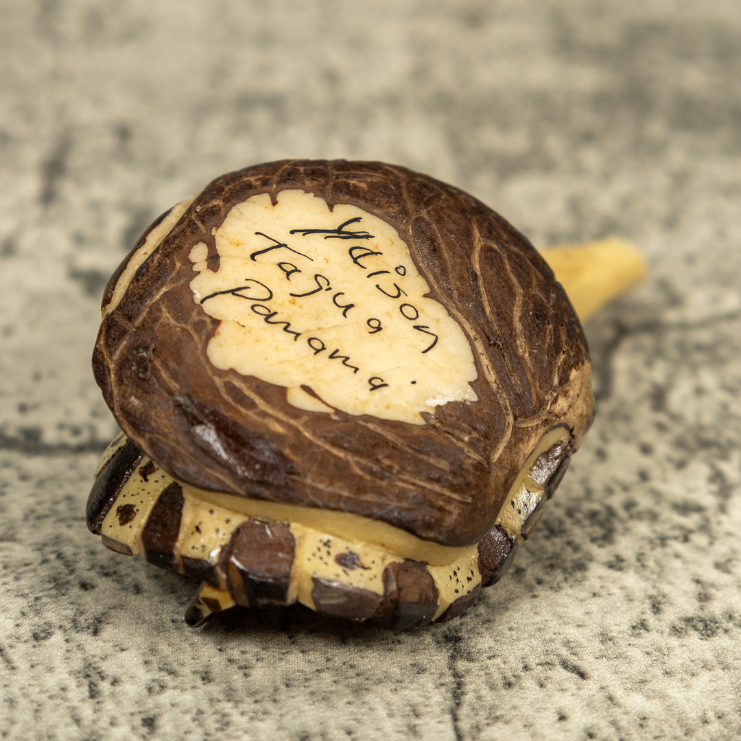 Alligator Crocodile Caiman Tagua Carving