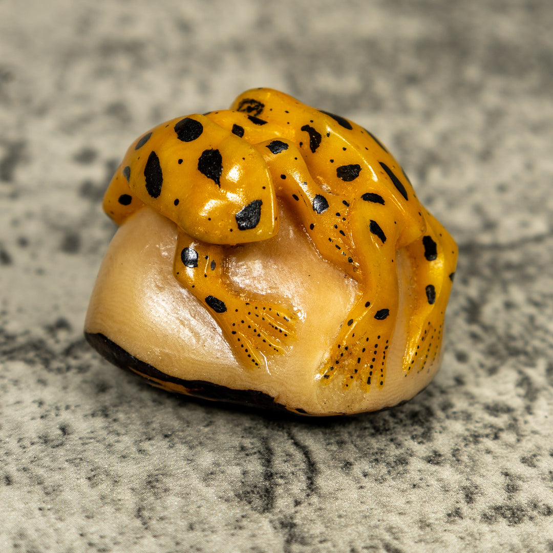 Vintage Double (2) Golden Frog Tagua Carving