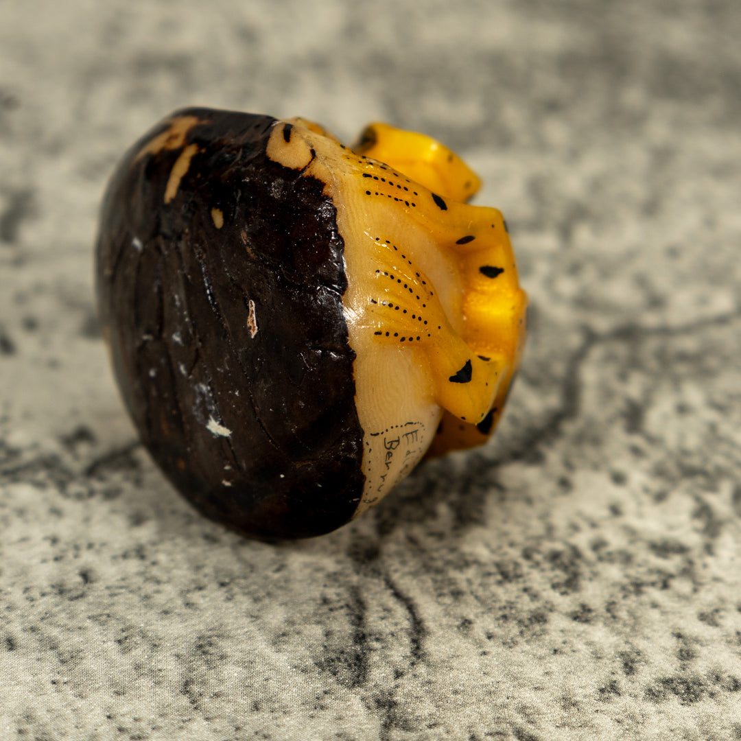 Vintage Double (2) Golden Frog Tagua Carving