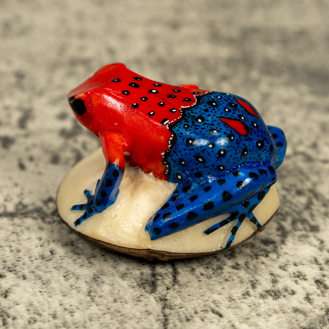 Red And Blue Poison Dart Frog Tagua Carving