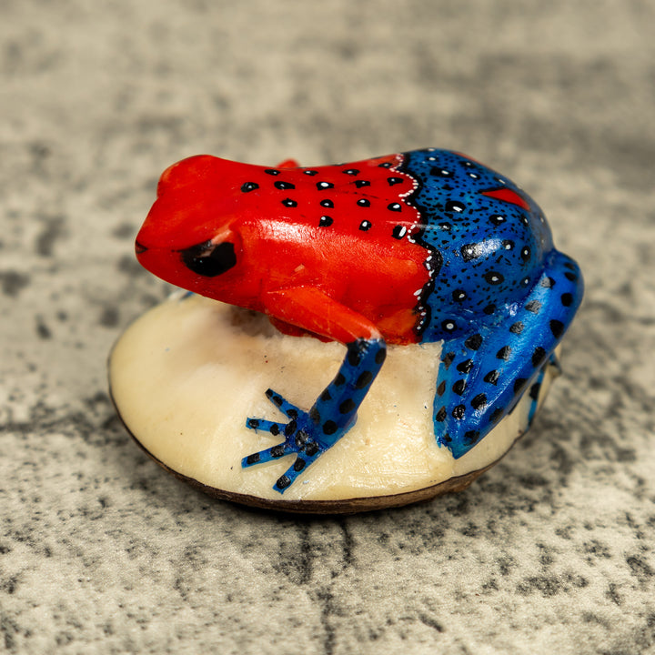 Red And Blue Poison Dart Frog Tagua Carving