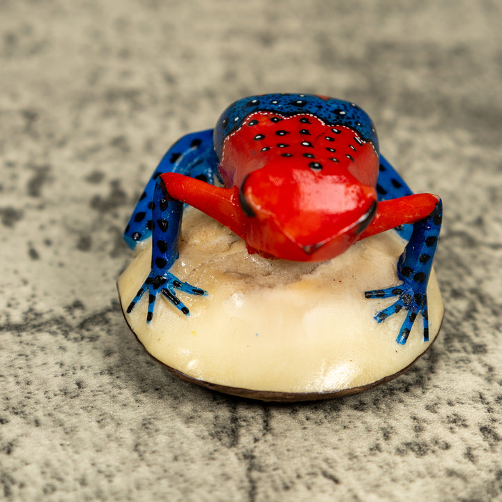 Red And Blue Poison Dart Frog Tagua Carving