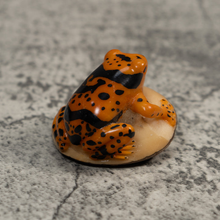 Black And Gold Poison Dart Frog Tagua Carving