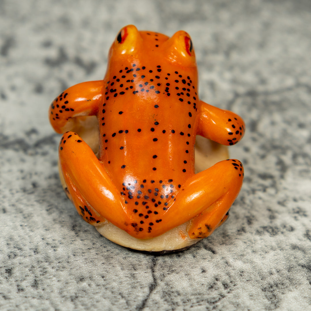 Orange And Black Frog Tagua Carving