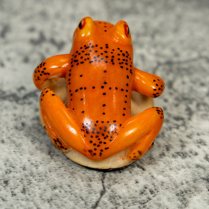 Orange And Black Frog Tagua Carving