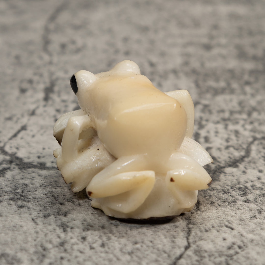 White Natural Frog Tagua Carving