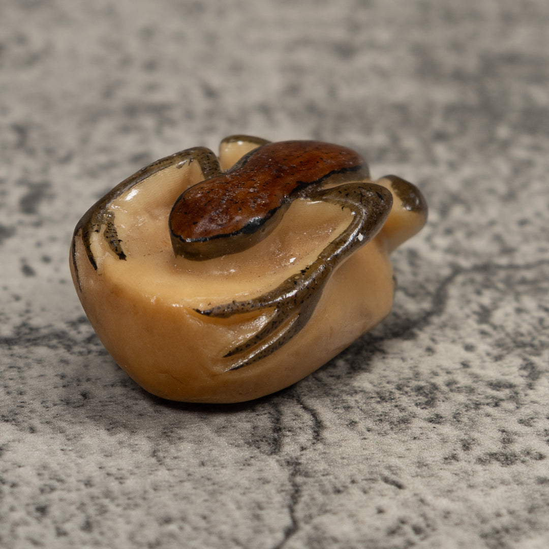 Vintage Brown And Black Frog Tagua Carving