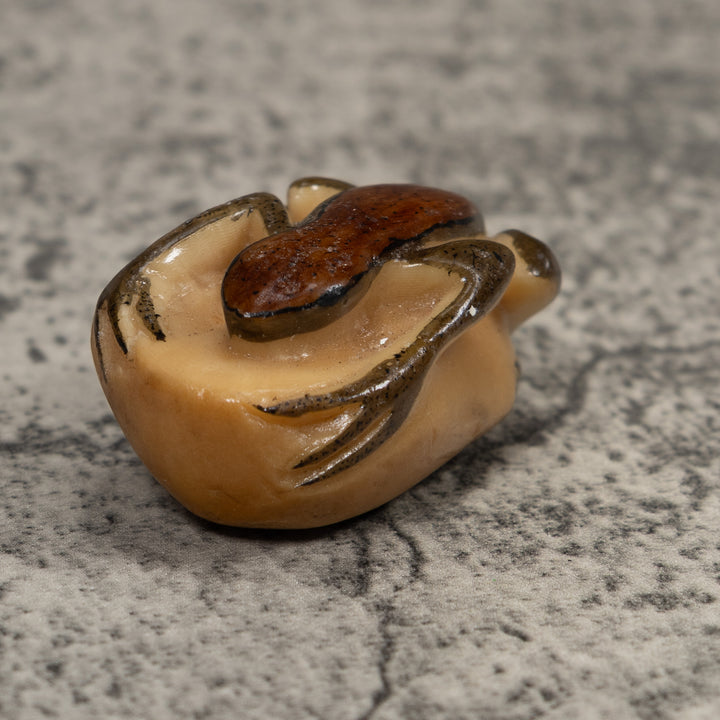 Vintage Brown And Black Frog Tagua Carving